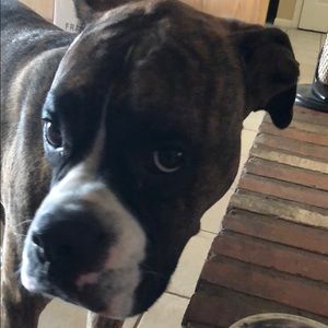 Meet your Posher, Jimmy